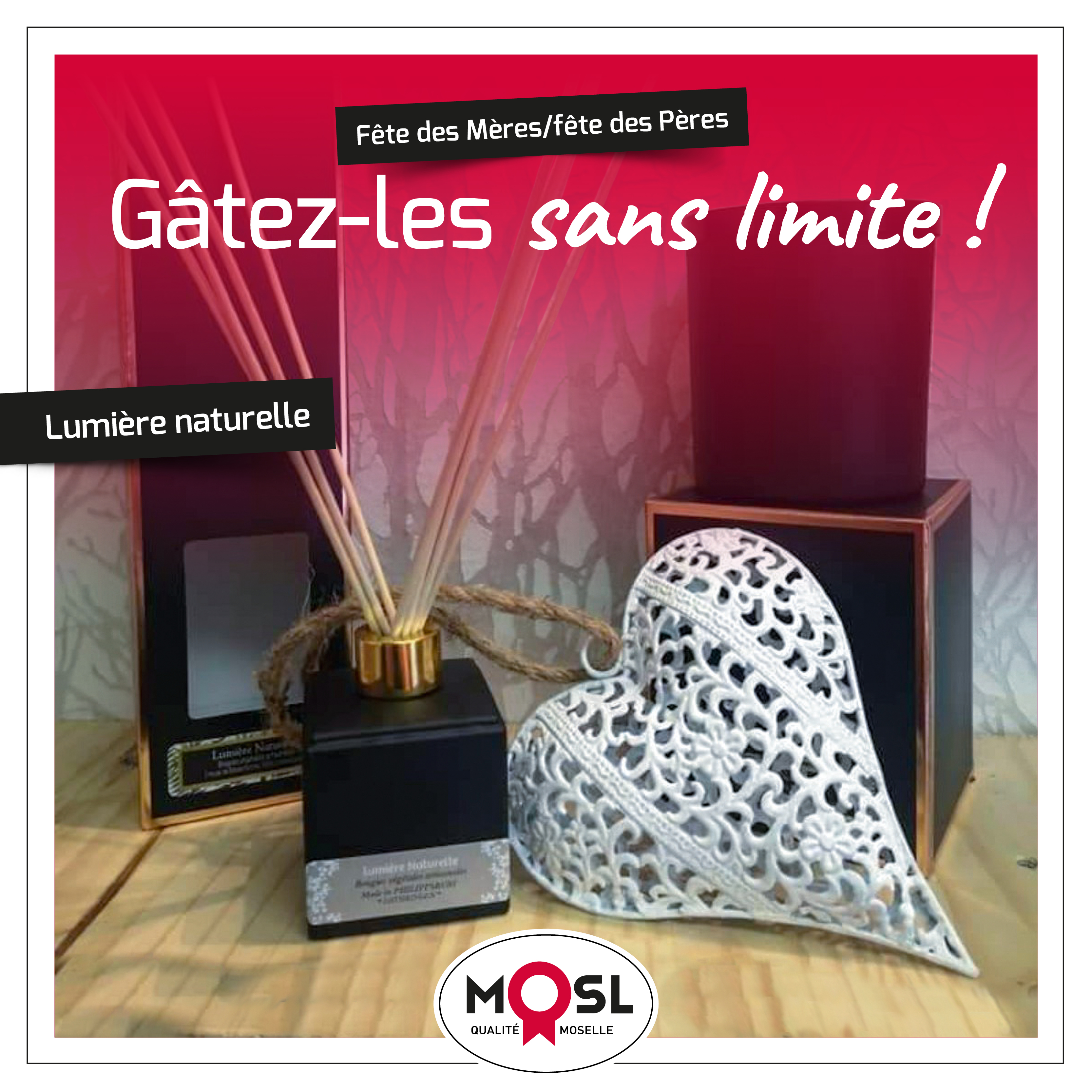 MI71 ENVIESDICI FB2[1]