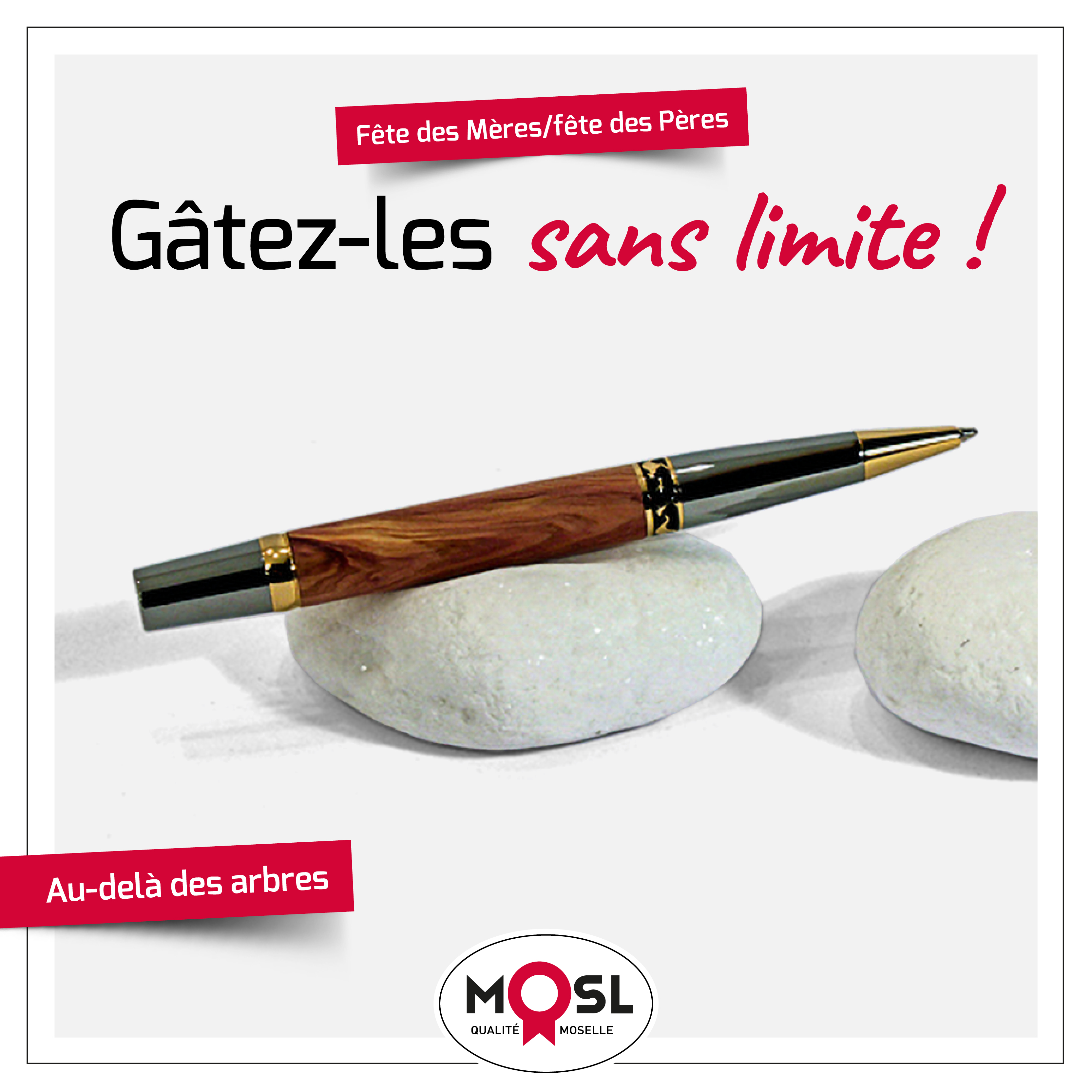 MI71 ENVIESDICI FB3[1]