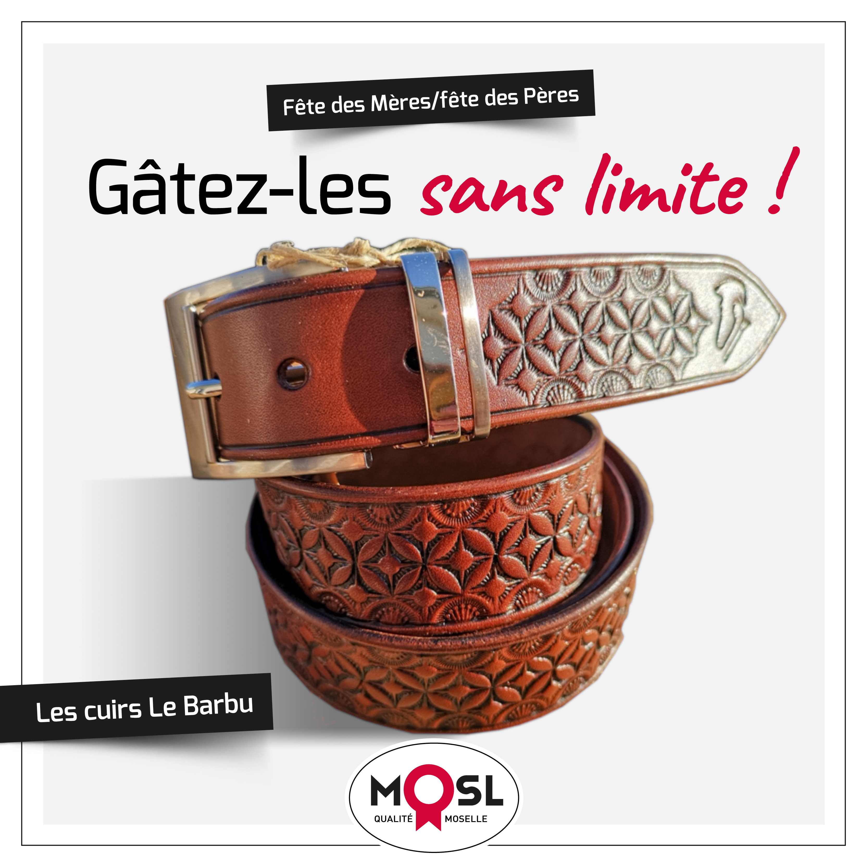 MI71 ENVIESDICI FB4[1]