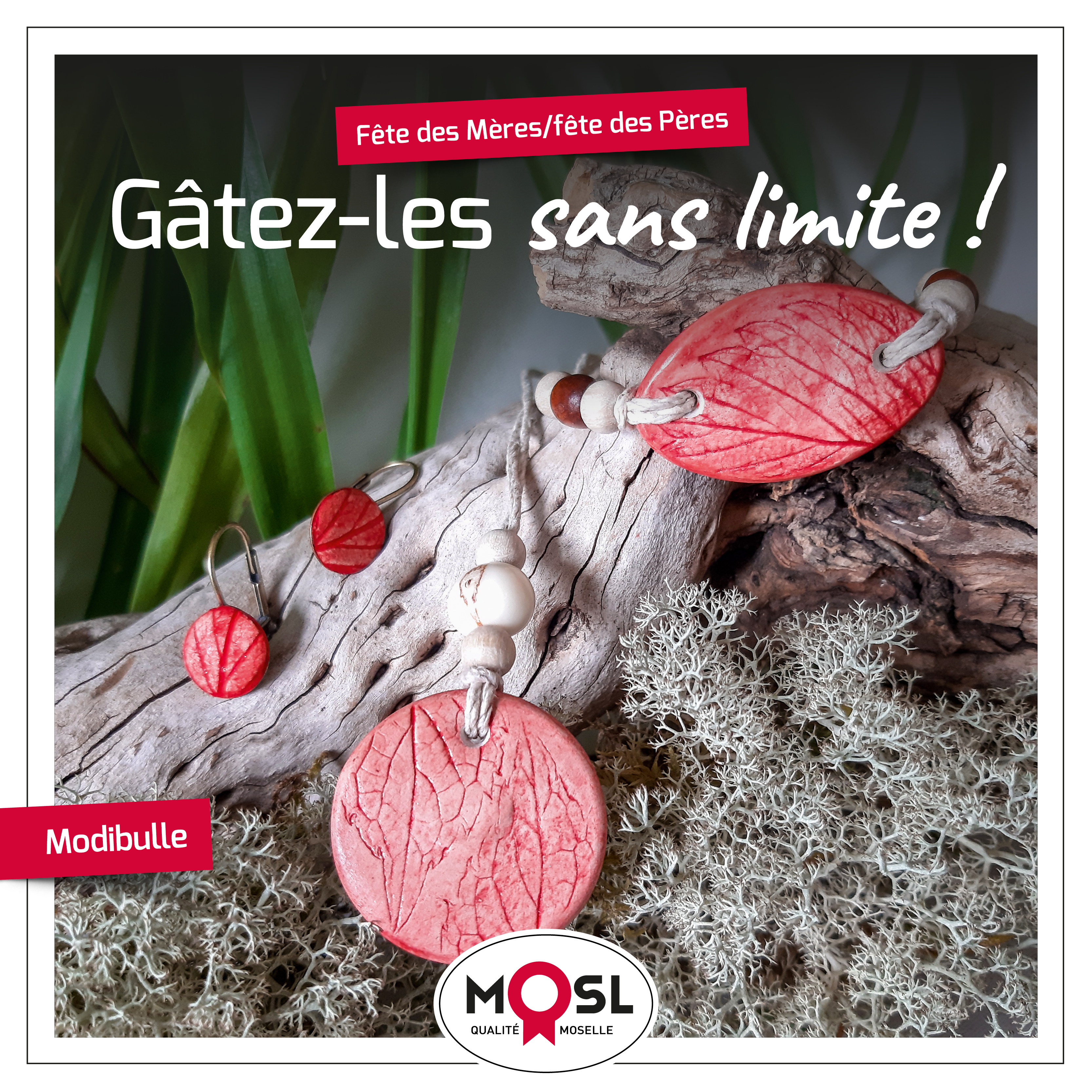 MI71 ENVIESDICI FB5[1]