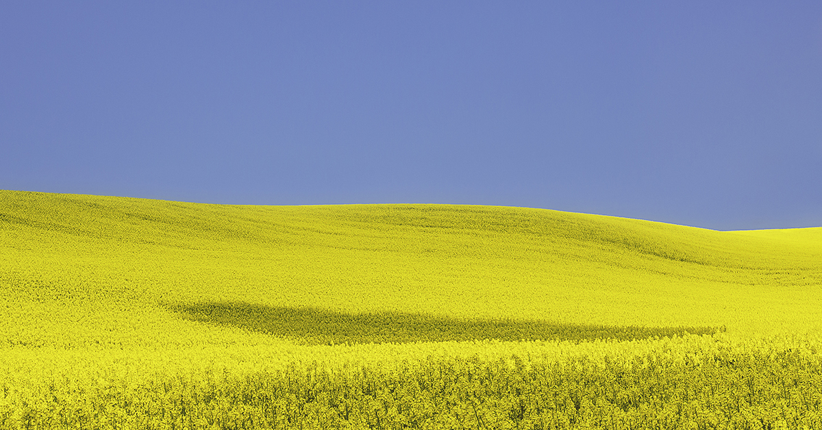 La Moselle, terre d'accueil des Ukrainiens