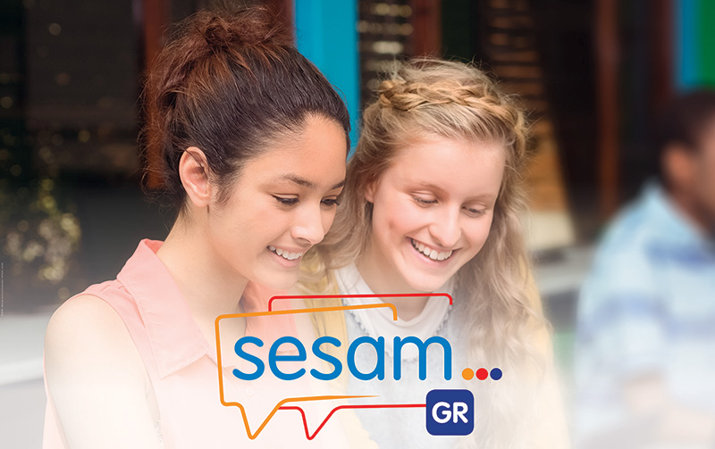 MI81 SESAM-GR 800x600