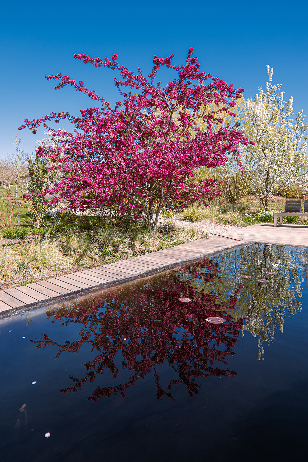 MI95 Jardins Laquenexy Nicolas MEYER