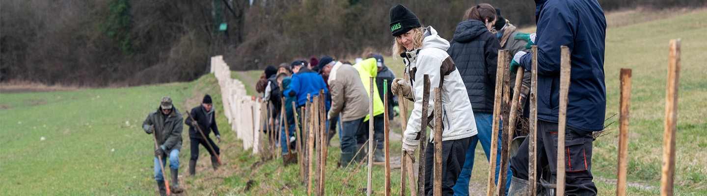 L’association HAIES oeuvre à la plantation participative de haies pour préserver la biodiversité.