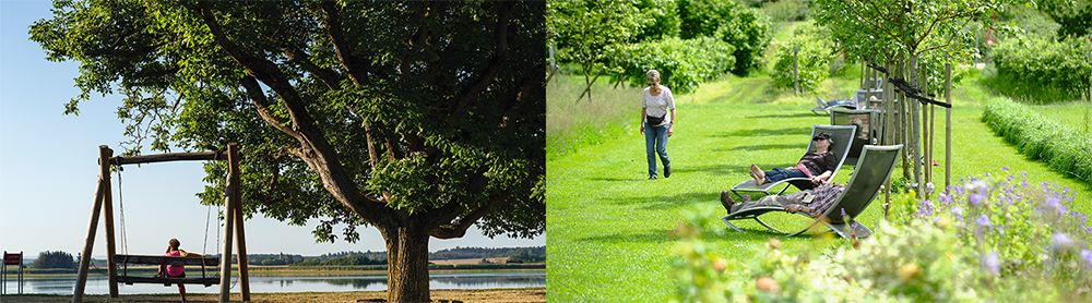 Photographies des jardins fruitiers de Laquenexy et du domaine de Lindre